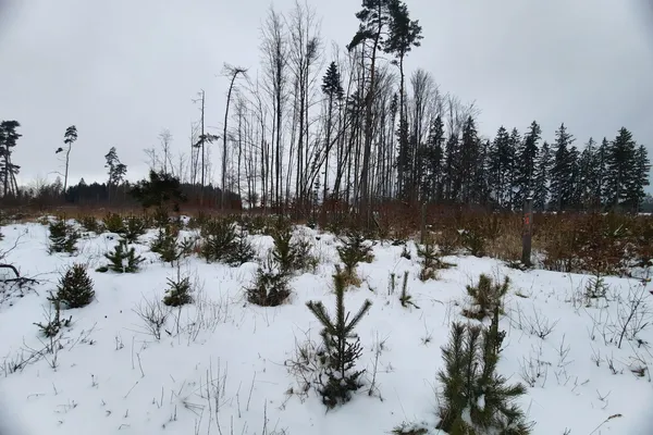 Winter Activities in the Case Study Vysočina Region (the Czech Republic)