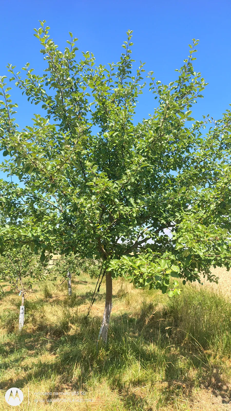 IMG_20260715_111249637_HDR