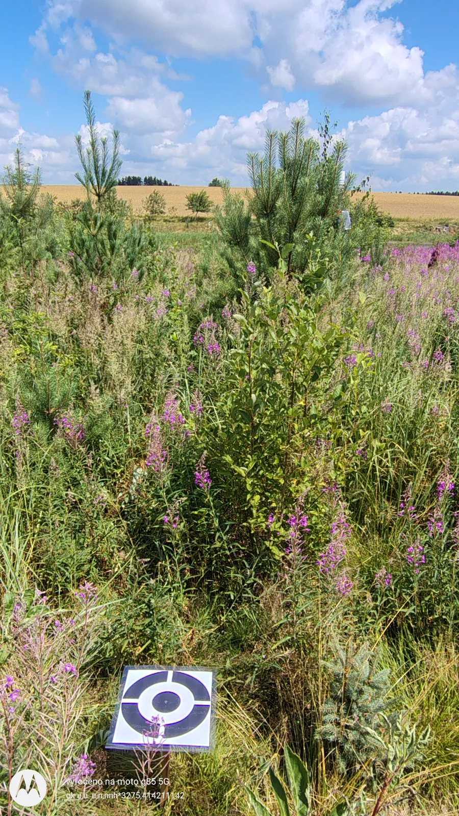 IMG_20260715_121653188_HDR