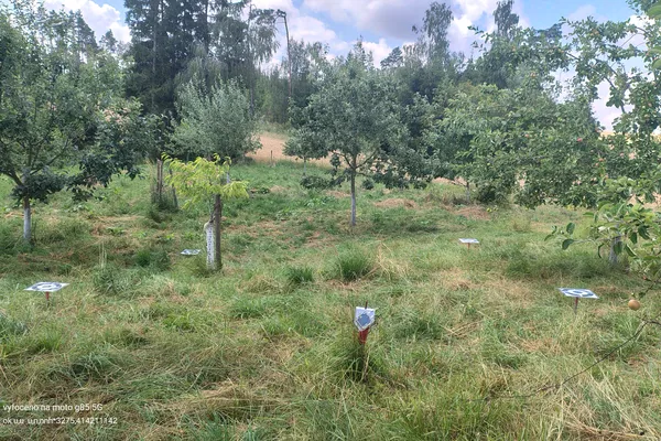 🛰️ Summer Monitoring Activities in the BioClima Case Study Vysočina Region (the Czech Republic)