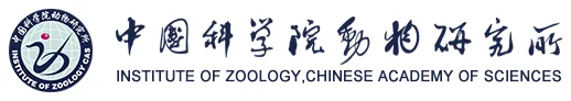 Institute of Zoology, Chinese Academy of Sciences