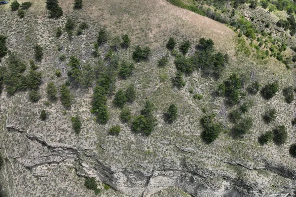 Romania Use Case: AI and UAV Technologies Support Biodiversity Monitoring in Diverse Landscapes