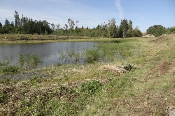 🌿 Field Survey and Pomological Assessment in the BioClima Case Study Vysočina Region