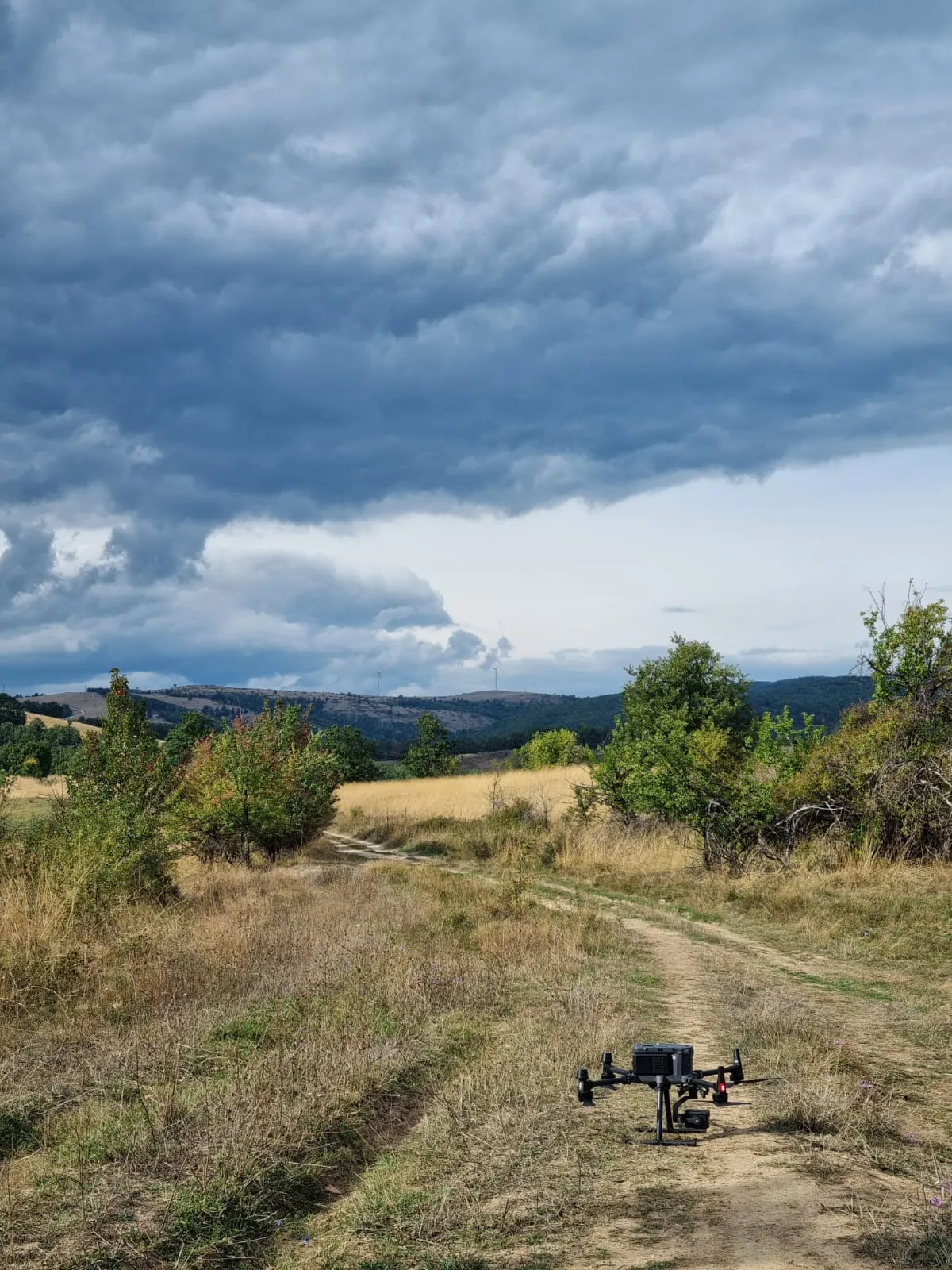 WhatsApp Image 2026-01-21 at 11.47.57