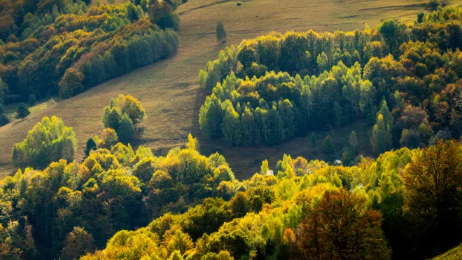 carusell1200x371_hreben