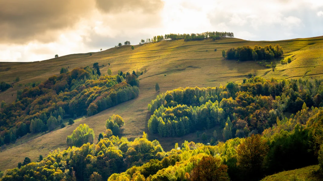 carusell1200x600_3